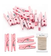 100 PCS Pink Clips