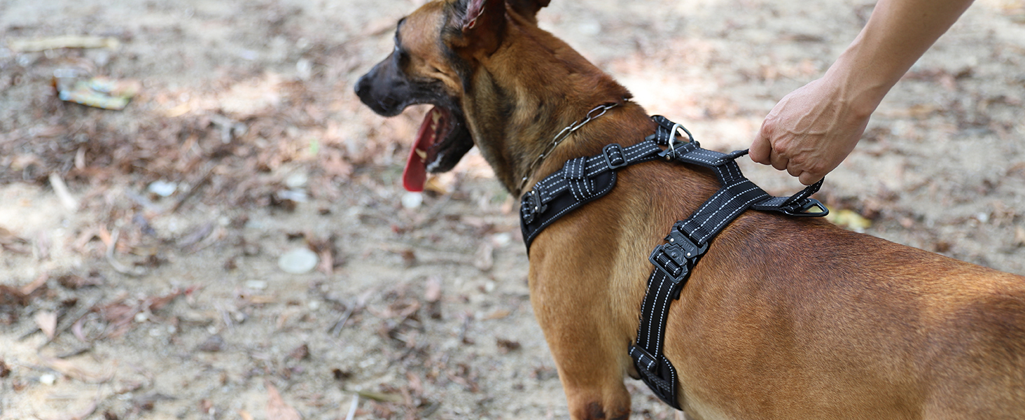 dog vest with handle