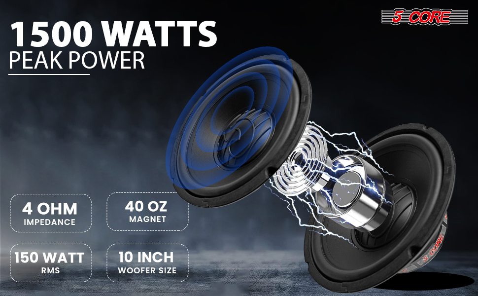 10 Inch woofer