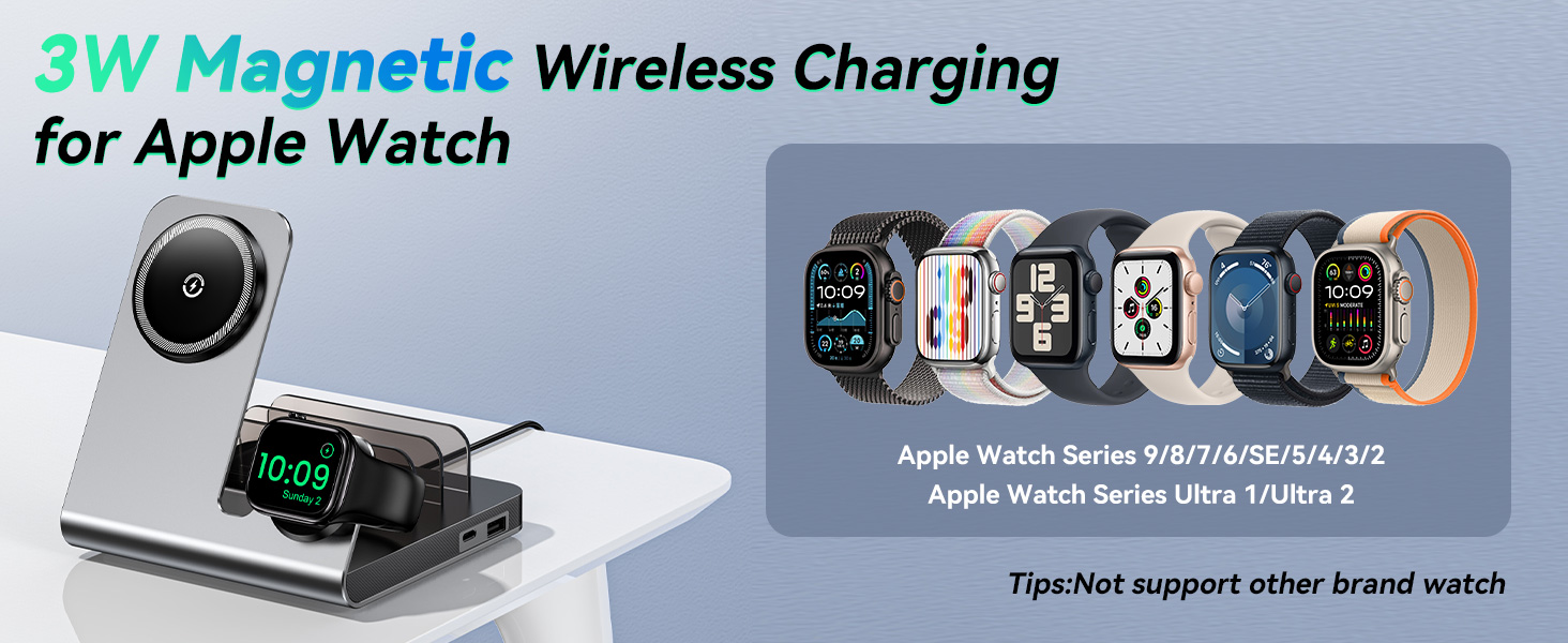 apple watch charger