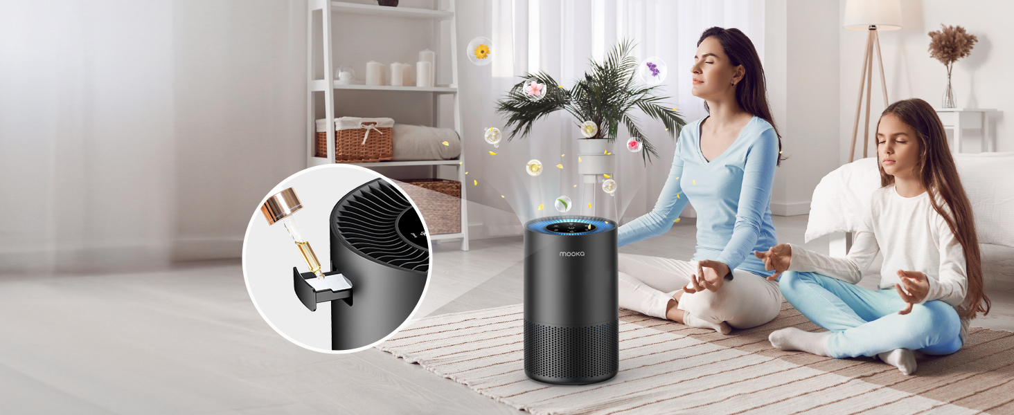 air purifiers for home large room pet True HEPA Air Purifier Large Room bedroom air purifiers