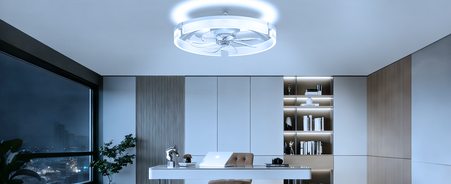 living room ceiling fan