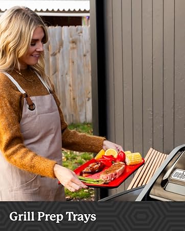 magical quick trays thawer dethawing premium water kitchen miracle descongelar alimentos defeosting