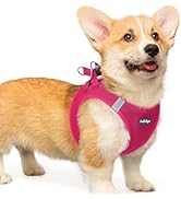 rabbitgoo Small Dog Harness, Step-in Soft Mesh Puppy Vest, Easy Walk with Safety Buckle, Breathab...