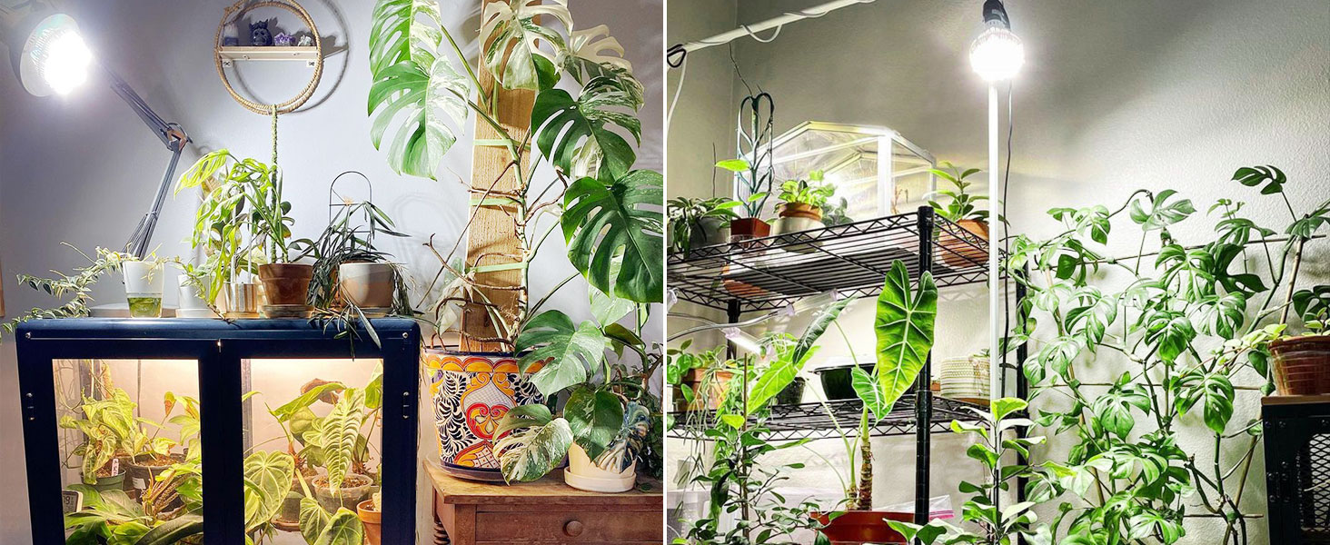 Home Aesthetic Design