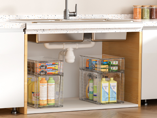 Organization