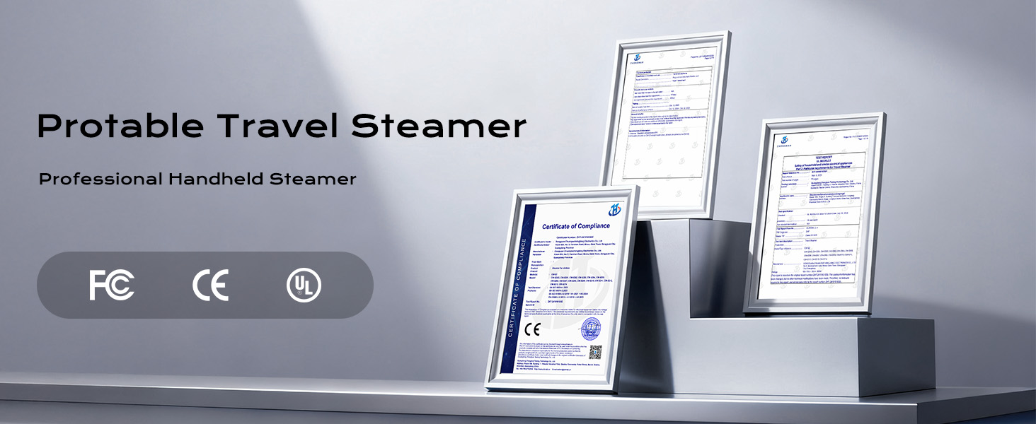 travel steamer dual voltage
