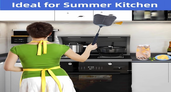 Telescopic Fly Swatters