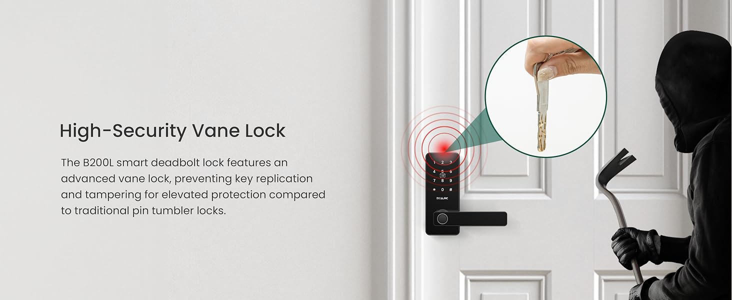 High-Security Vane Lock