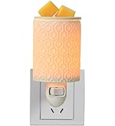 Plug in Fragrance Wax Warmer for Scented Wax, Fragrance Candle Wax Melt Warmer- Birthday Gift for...