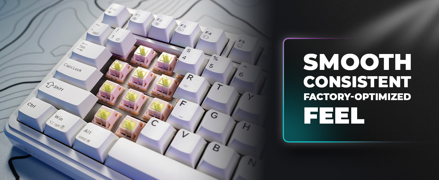 Tecware Ghost 75 smooth typing mechanical keyboard linear switch RGB gaming keyboard