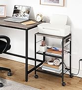 BG22UPS01 printer stand