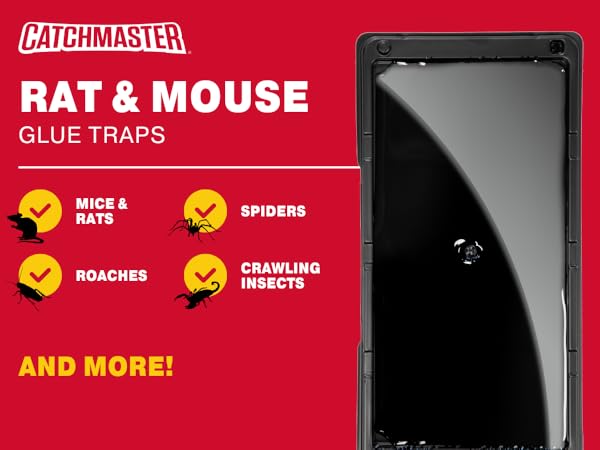 rat mouse baited glue trap