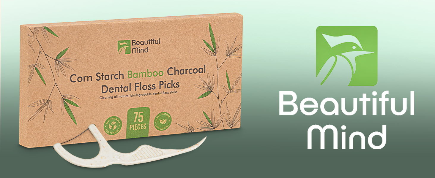 Dental Floss Picks