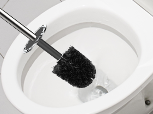 Toilet Brush