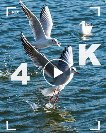 camera for photography