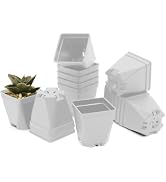 DILIGROW 1.5-Inch Nursery Pots, Thick-Walled PP Plastic, for Home, Office &amp; Garden, Seed Starting...