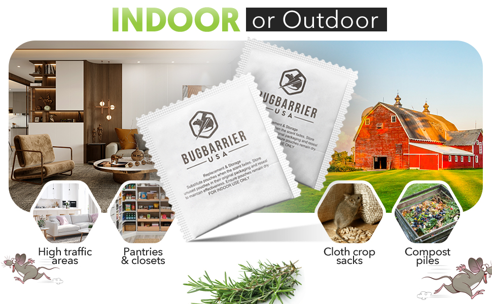 keep rats away from house how to get rid of chipmunks best way to get rid of chipmunks