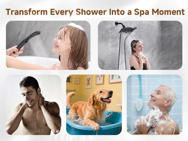 shower head with handheld