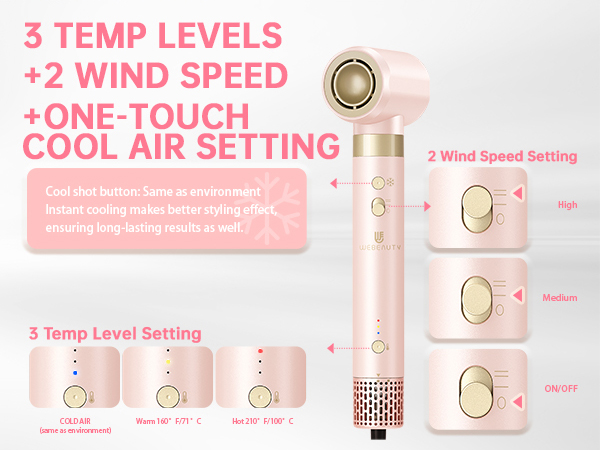 Dual Voltage Hot Air Styler