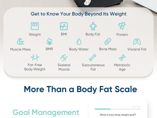 13 full body metrics
