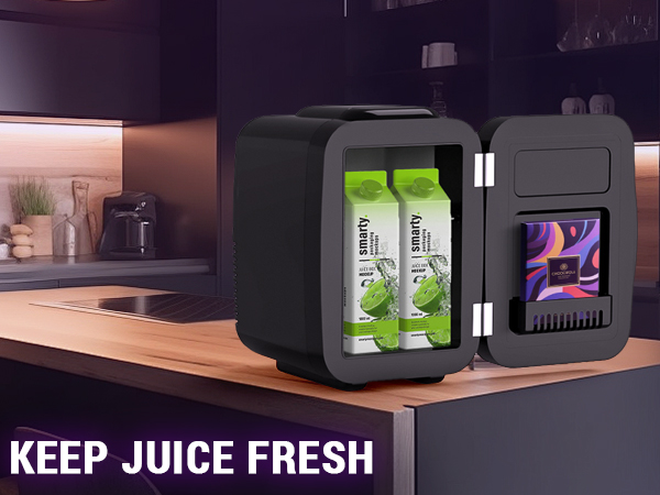 Mini Fridge Small Refrigerator Portable Thermoelectric Cooler and Warmer Fridge