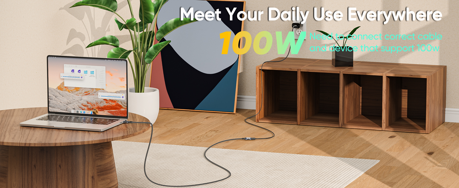 usb c extension cable 20 ft