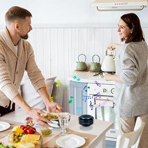 small wireless speaker for kitchen