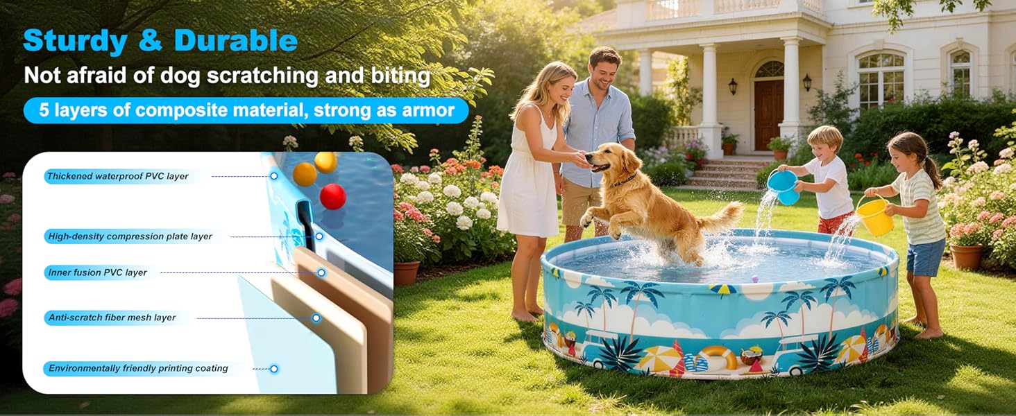 kiddie pool for dogs