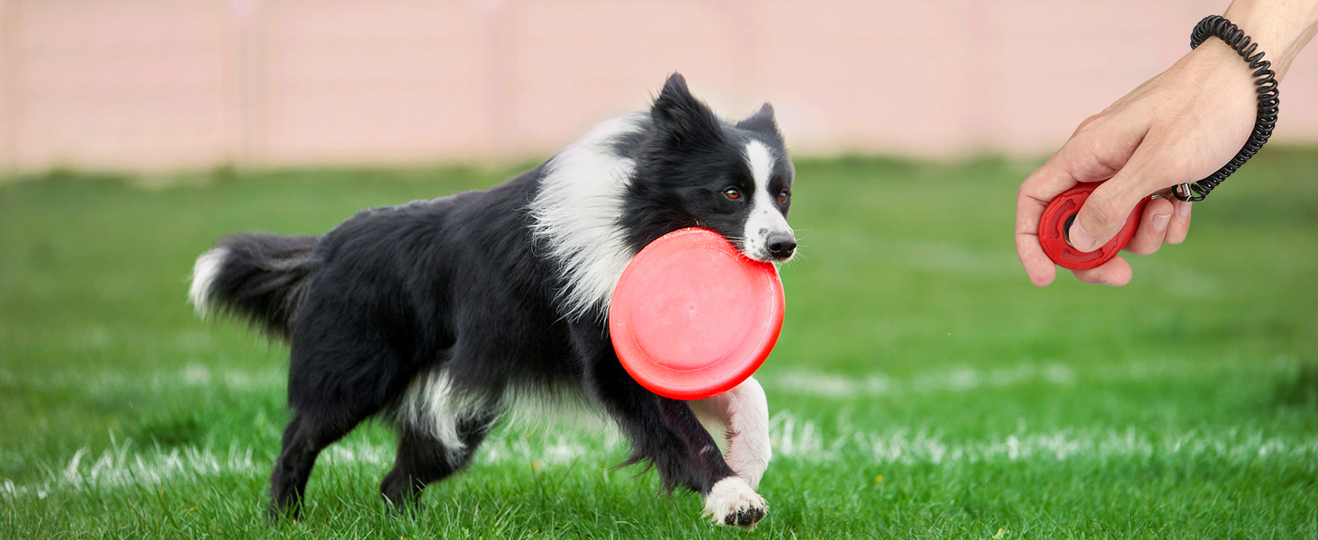 dog clicker for training