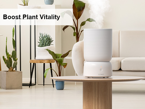 plant humidifier for planthouse indoor
