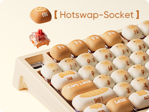 Hotswap-Socket