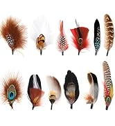 Daieeparty Hat Feathers 12PCS Colorful Natural Craft Feather for Cowboy Hat Fedoras Trilby Hats P...