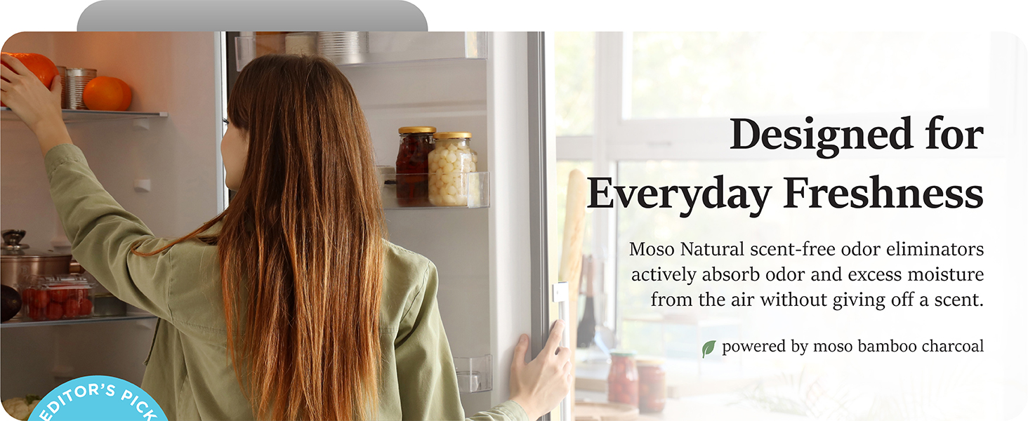 Moso Natural fridge deodorizer bamboo charcoal refrigerator odor absorber freezer unscented ice