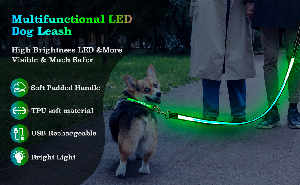 led dog leash