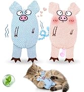 Cat Toys for Indoor Cats, 2 PCS 8000mg A+Natural Catnip Silvervine Crinkle Interactive Cat Toy Pi...