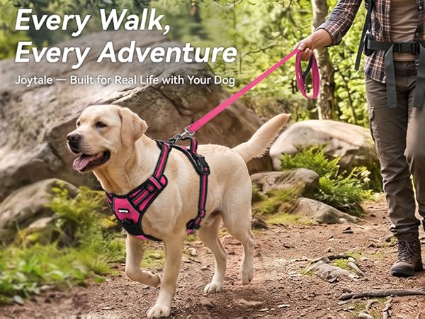 dog harness medium sized dog