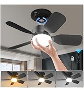 20" E26 Socket Fan Light with Remote, 30W 2000 Lumens, 3 Colors 3000-6000K Socket Breeze ceiling ...