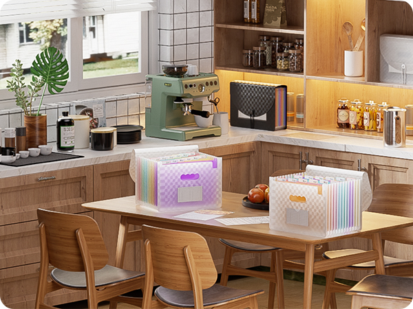 ThinkTex Accordion File Organizer