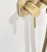 hand held bidet