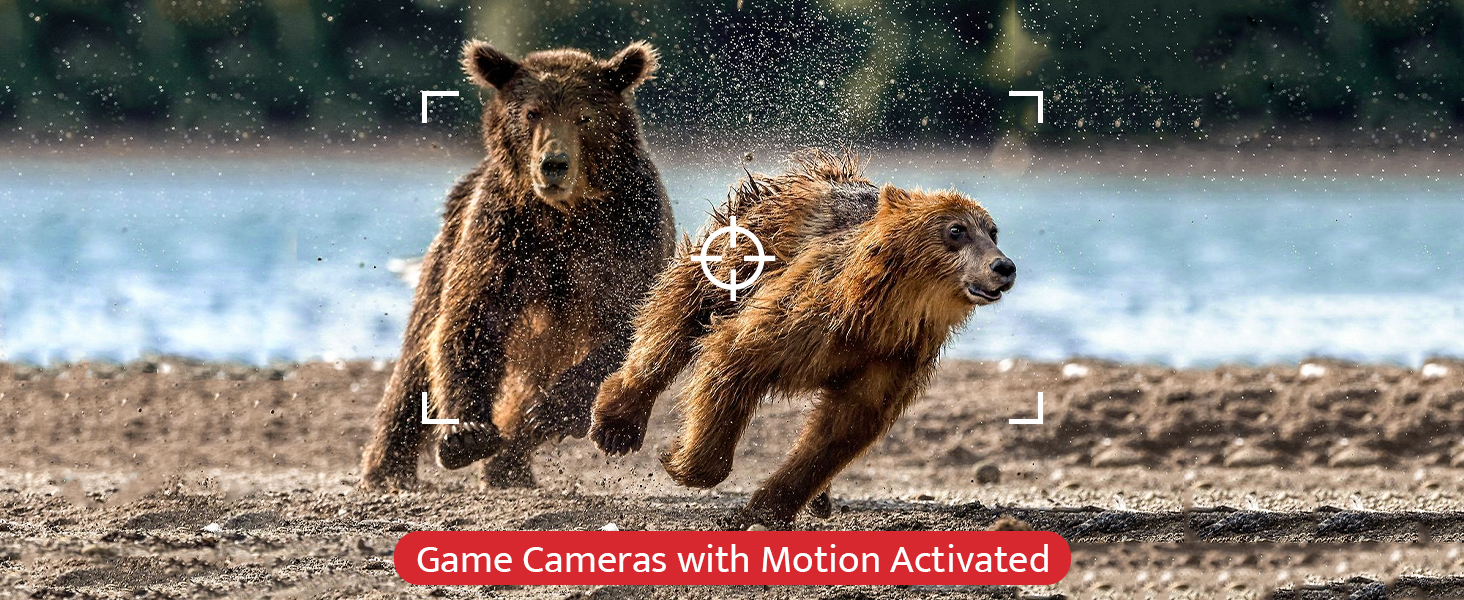 0.3s flash speed fast trigger time motion activated With the game camera enjoy the fun of hunting