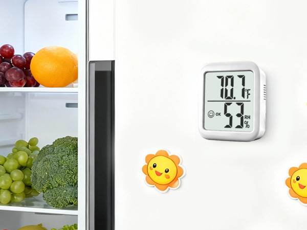 thermometer and humidity gauge