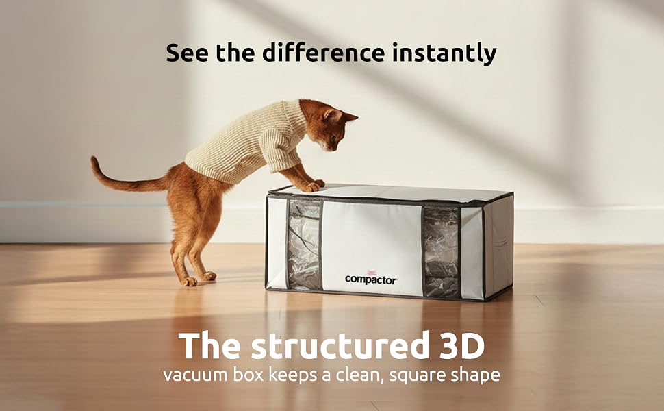 Vacuum storage bag with semi-rigid structured box