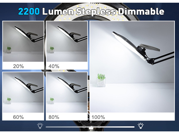 10X Magnifying Glass with Light and Clamp