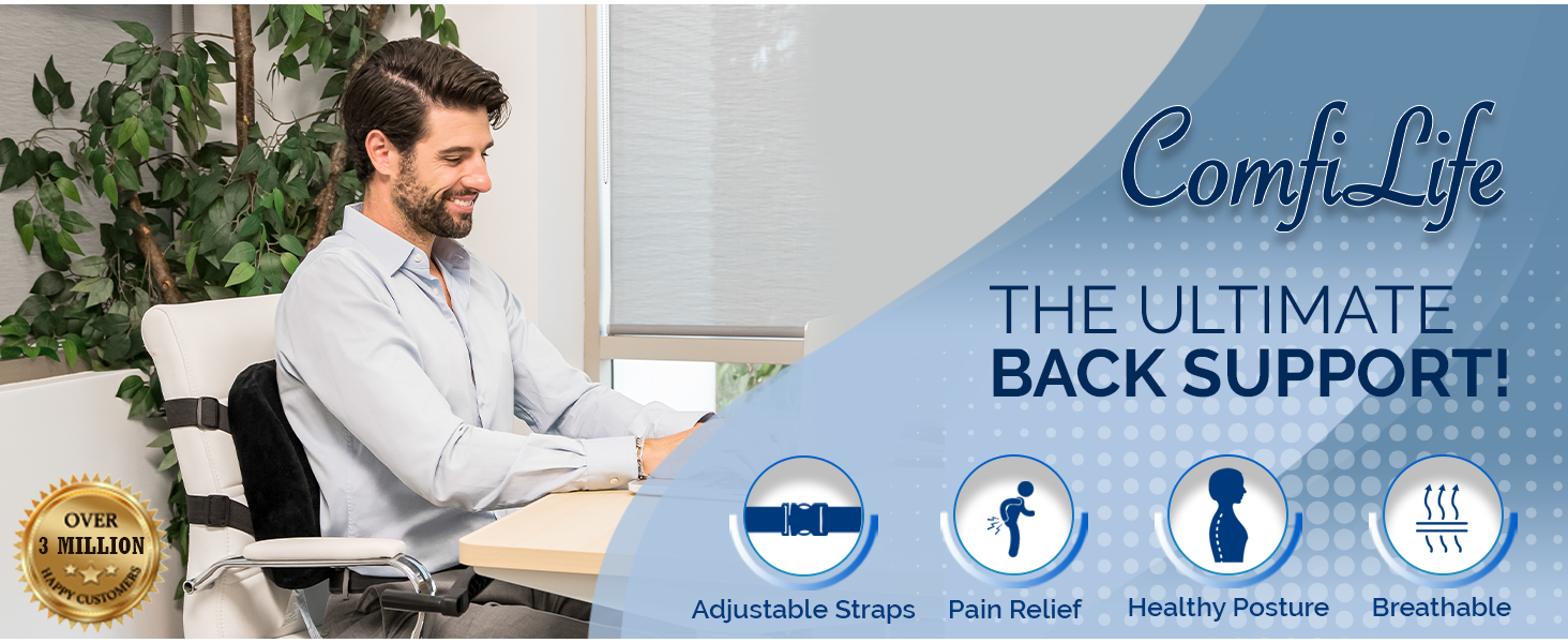 lumbar support back pillow
