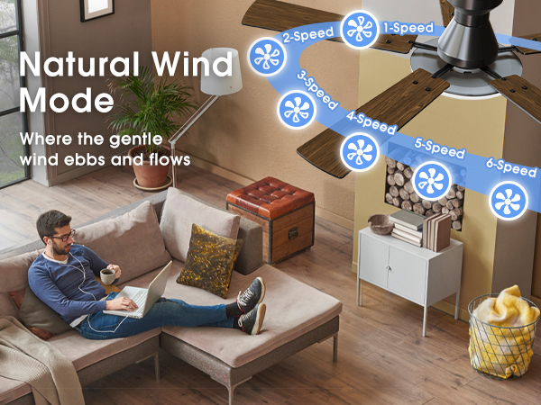 Ceiling fans 6 speeds