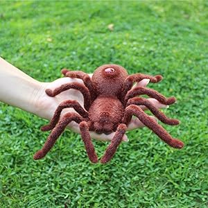 Remote Control Spider