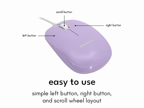 mouse