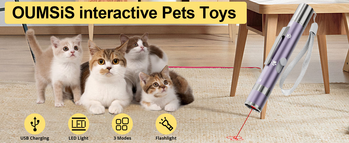 cat toys