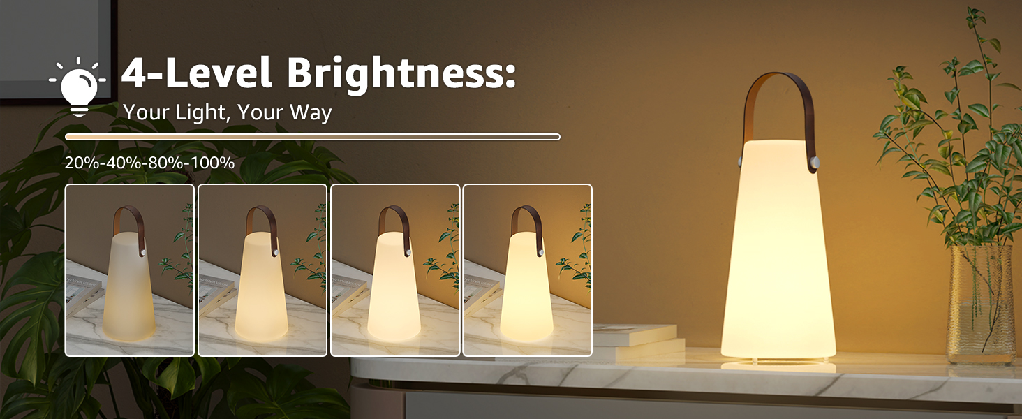 4-Level Brightness